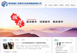 盐都城市开发投资集团有限公司