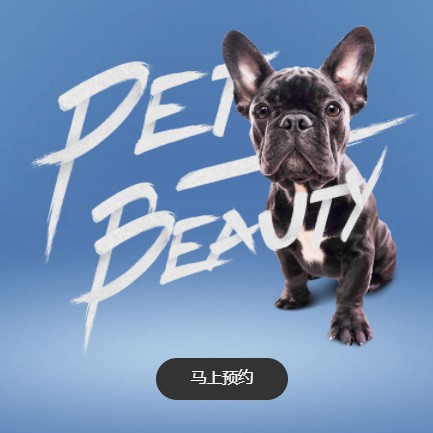 盐都宠物中心小程序开发