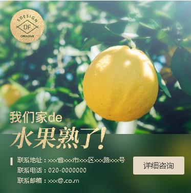 盐都果园果林小程序开发